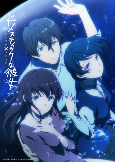  / Domestic na Kanojo