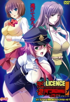   / Chikan no Licence