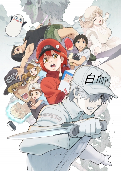    2 / Hataraku Saibou!!