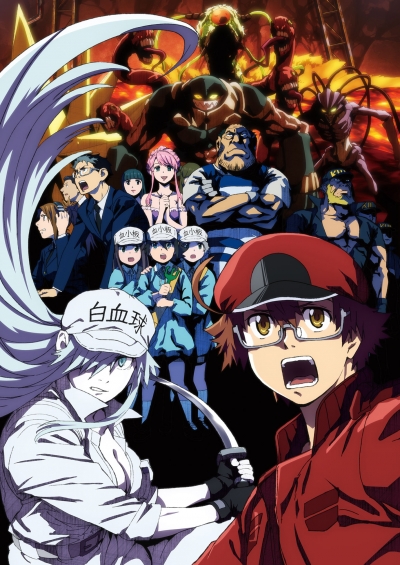   : Ҹ  / Hataraku Saibou Black (TV)